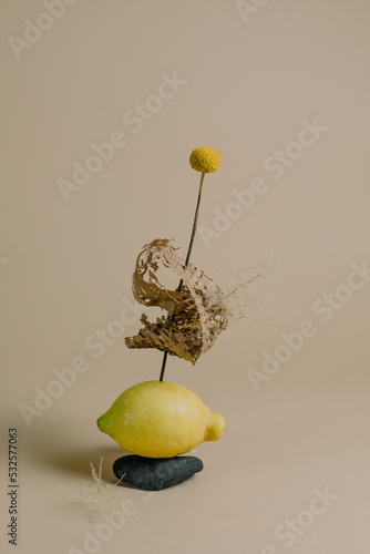 Styled Still Life Of Lemon with recycled paper In A Studio  photo