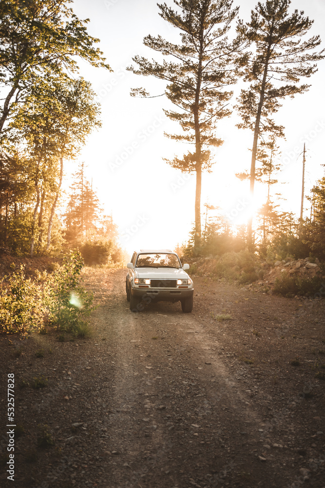 cruising in the sunset cruising in the sunset
