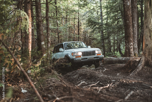 forest offroading photo