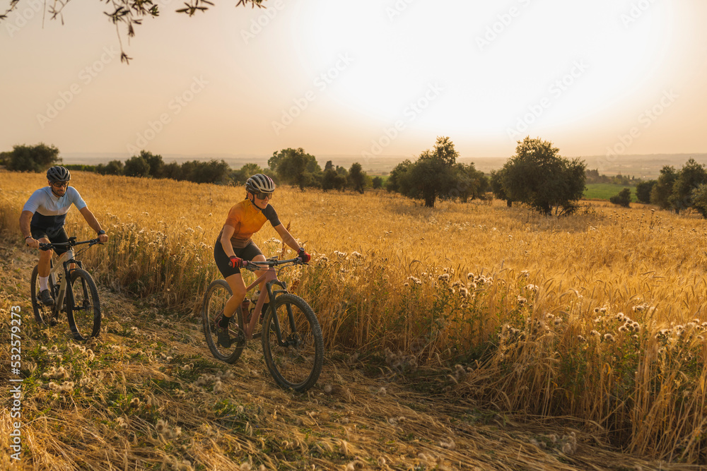 Two mountain bikers between wheat fields Two mountain bikers between wheat fields