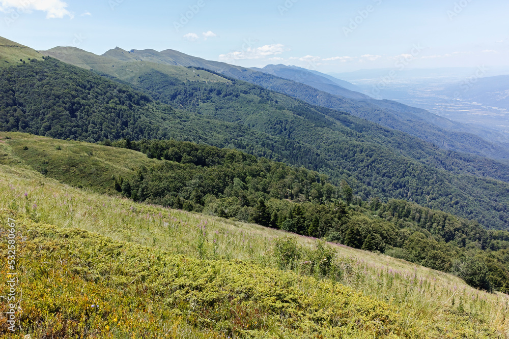 Obraz premium Summer landscape of Belasitsa Mountain, Bulgaria
