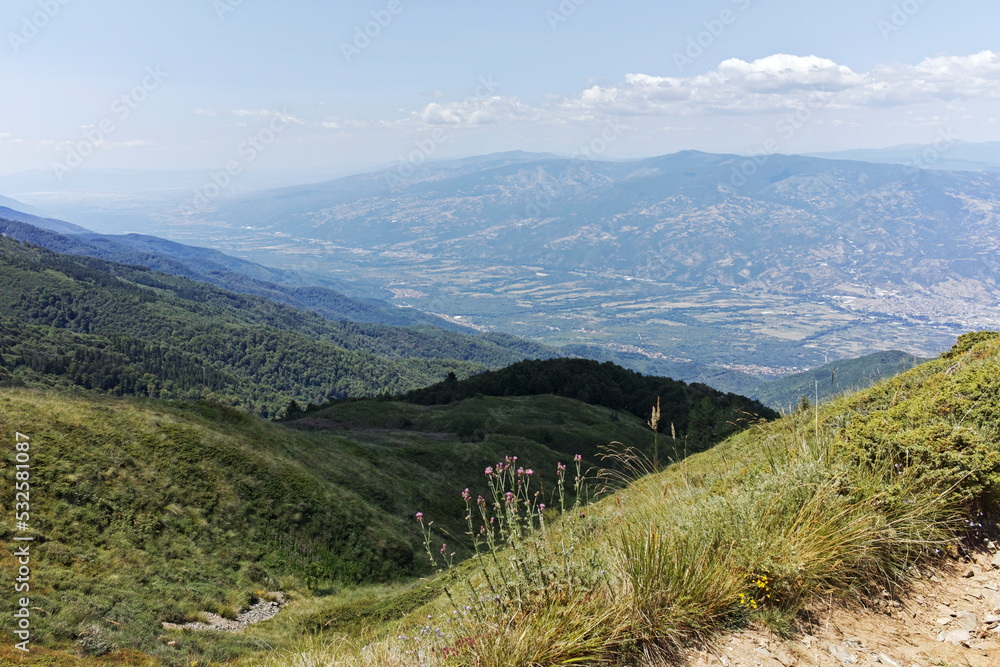 Fototapeta premium Summer landscape of Belasitsa Mountain, Bulgaria