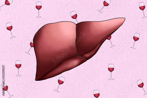 Human liver surrounded by wine glasses photo