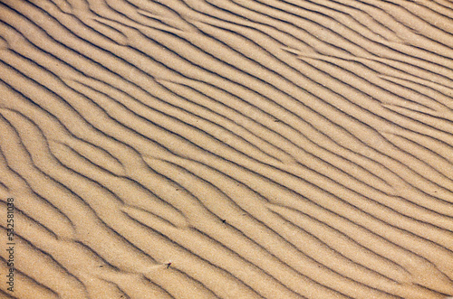 Small sand dunes on the beach