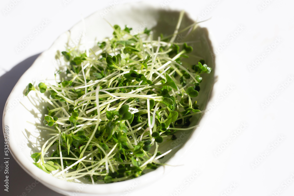 Organic kale sprouts on white background. Organic kale sprouts on white background.