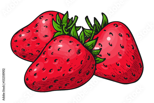 Strawberry handdrawn clip art. Three whole ripe wild forest red berries isolated on white. Tasty fresh eco fruit. Sweet berry bunch. Juicy strawberries colorful sketch for sticker patch, poster print