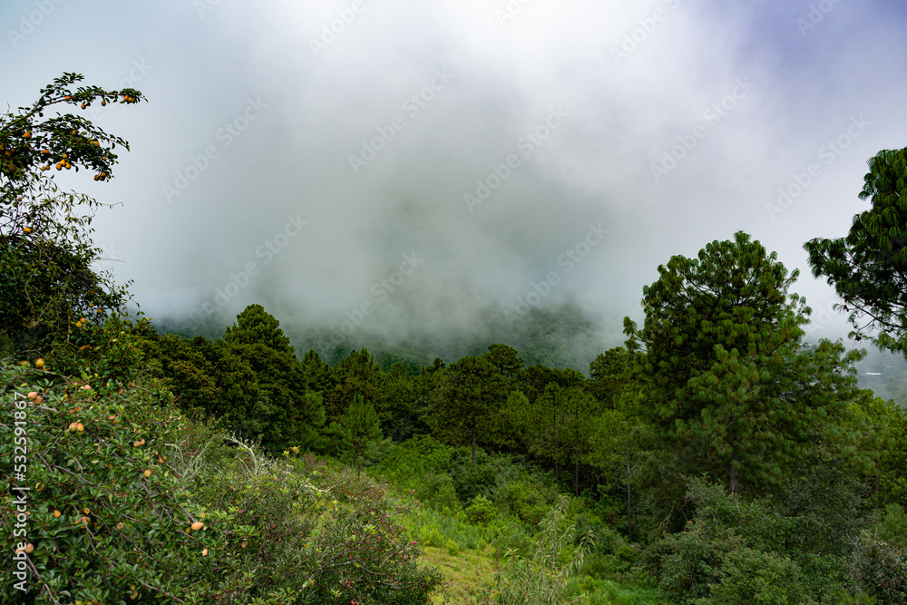 Las Animas town, located in the Oaxaca highlands, Mexico Las Animas town, located in the Oaxaca highlands, Mexico
