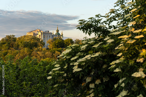 Domes of Saint Sophia Cathedral and blossoming chestnut tree in Kiev photo
