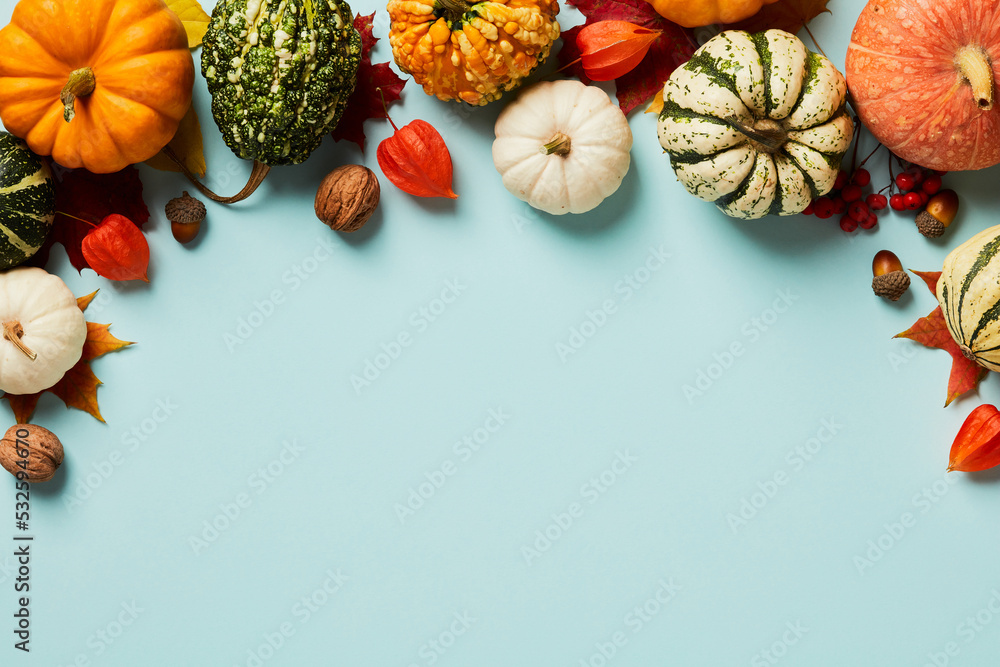 Autumn Thanksgiving background. Pumpkins, acorns, walnuts, physalis and maple leaves on pastel blue table top view. - obrazy, fototapety, plakaty 