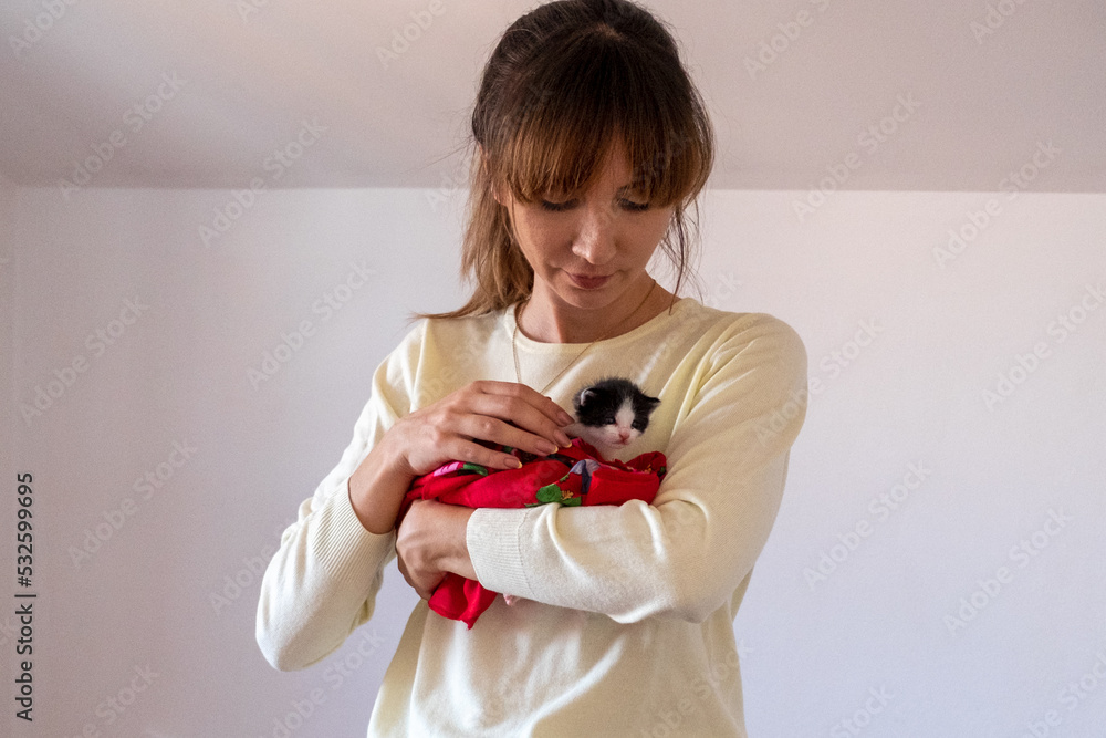 Female holding Newborn baby kittens adopted from the street Female holding Newborn baby kittens adopted from the street