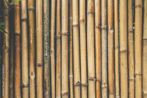 Murais de parede Full Frame Shot Of Bamboos