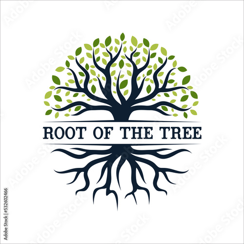 Tree of Life Seal Emblem Oak Family root Maple Stamp logo design vector