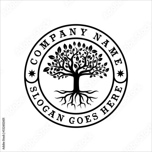 Tree of Life Seal Emblem Oak Family root Maple Stamp logo design vector