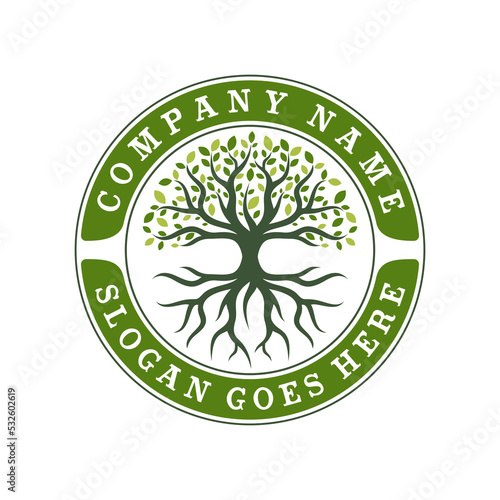 Tree of Life Seal Emblem Oak Family root Maple Stamp logo design vector
