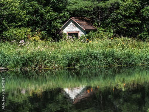 Overgrown, abandoned garden shed on a lakeshore 2