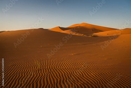 Sahara Desert photo