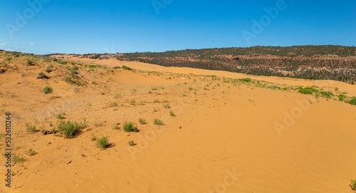 Coral Pink Sand Dunes