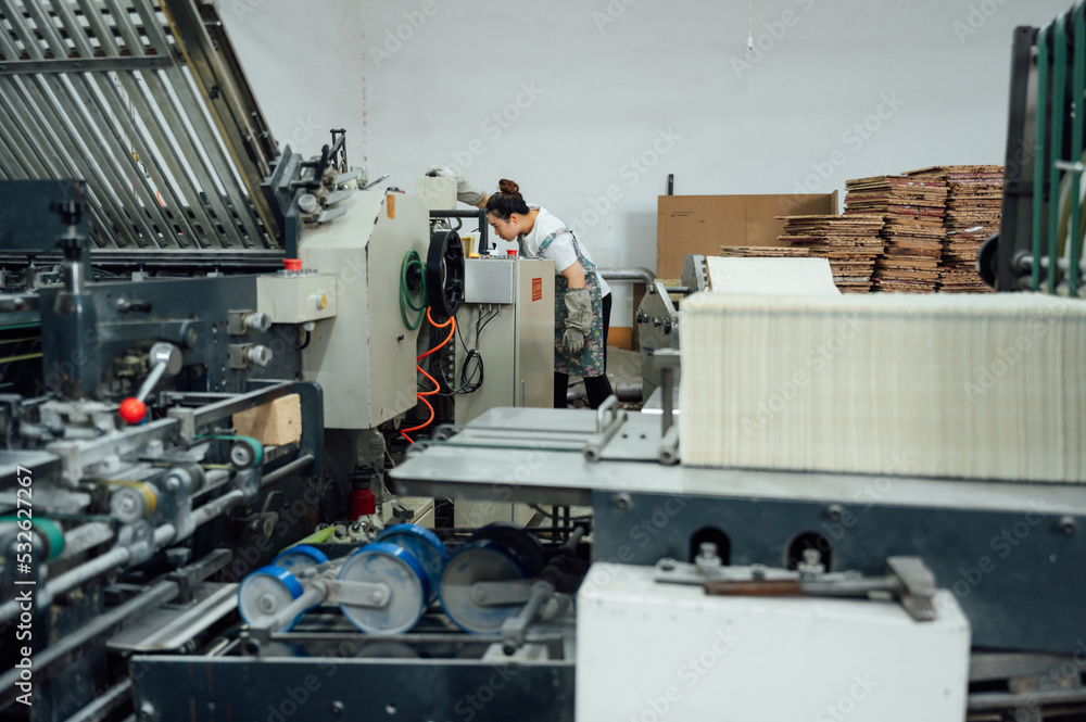 Female employer in printing industry Female employer in printing industry