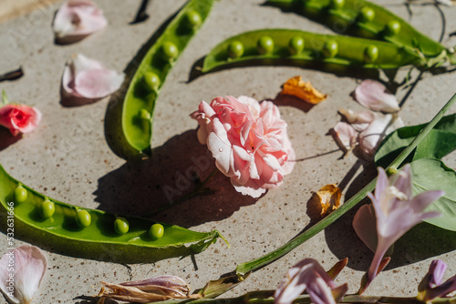 Tea rose and fresh green peas. photo