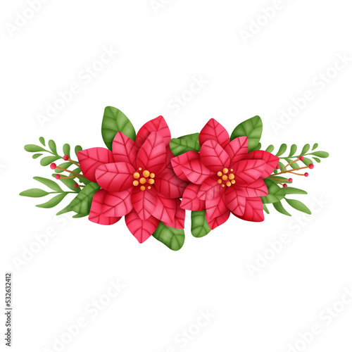 poinsettia