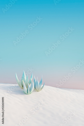 Aloe Vera photo