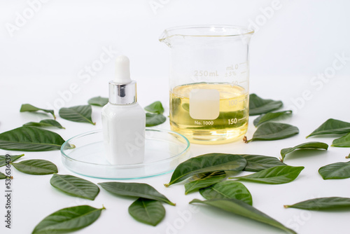 skincare blank bottle packaging or essential oil dropping with green leaves on white background natural concept © kaedeezign