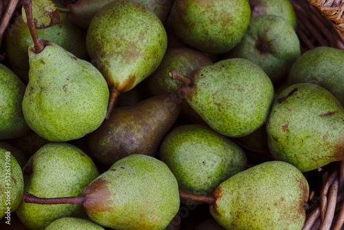Organic pears photo