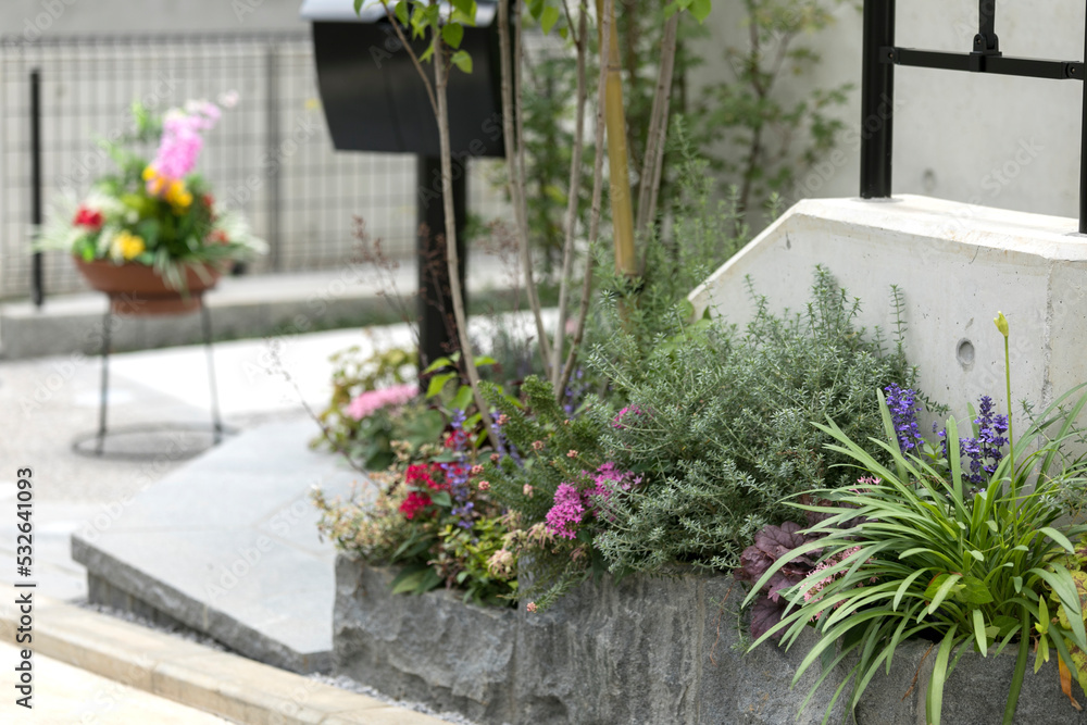 Fototapeta premium エントランスの植栽