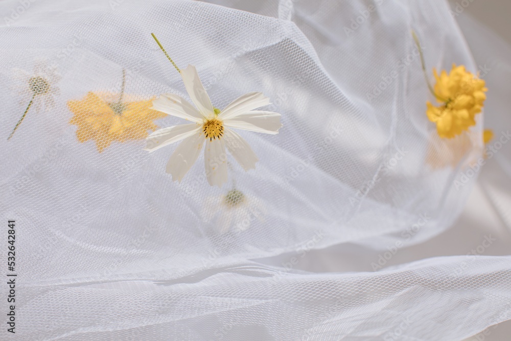 Abstract background with veil and flowers Abstract background with veil and flowers