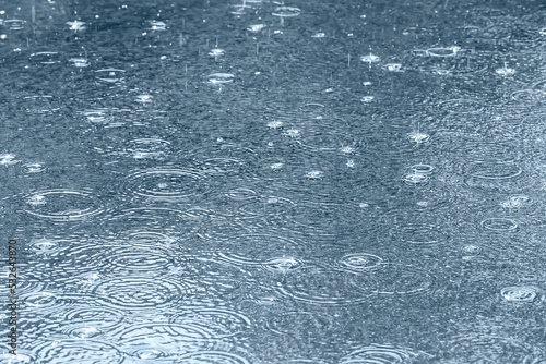 Quadro su tela city pavement with raindrops and ripples in puddles during downpour
