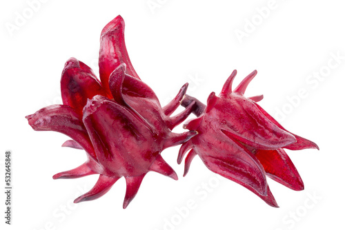 Roselle Hibiscus sabdariffa red fruit flower on alpha background photo