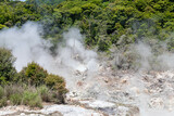温泉の湯煙が上がる九州の山地