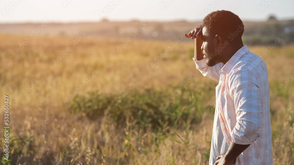 African American farmer examines plantation of cereal crop at sunset light. Black agriculturist explores size of planted farm field harvest African American farmer examines plantation of cereal crop at sunset light. Black agriculturist explores size of planted farm field harvest