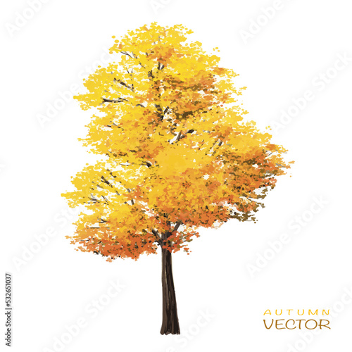 Vector autumn trees collection,watercolor blooming flower tree or forest side view isolated on white background for landscape and decorative ,elements for environment or and garden,botanical garden
