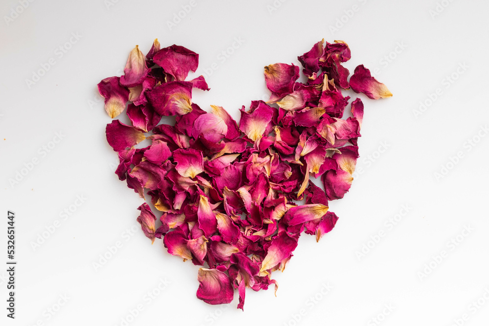 dried pink roses on a white background