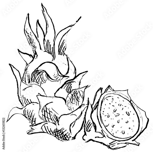 Dragon fruit