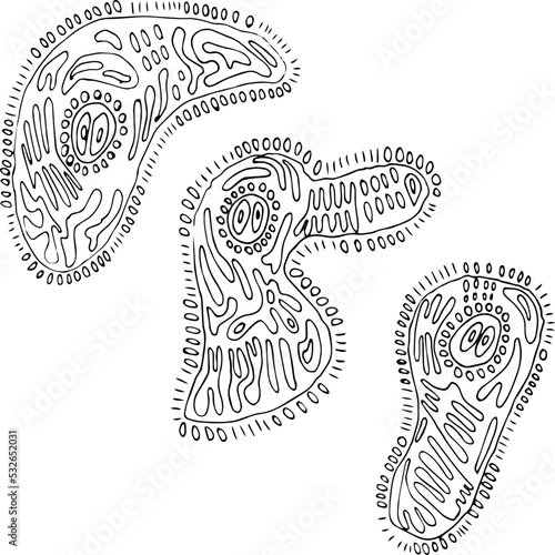 For the contour of the cell, living unicellular organisms.
