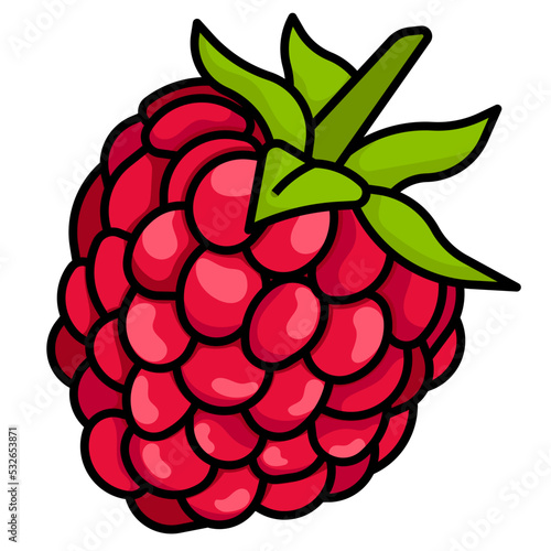 raspberry