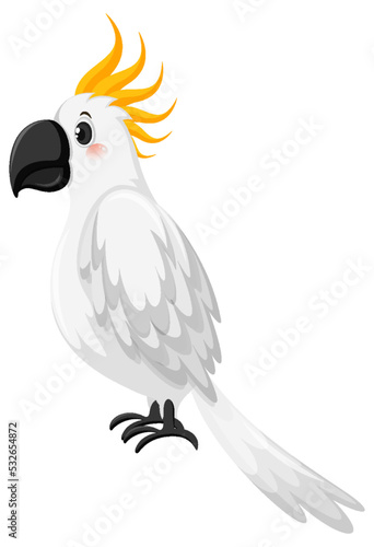 Cockatoo bird in cartoon style