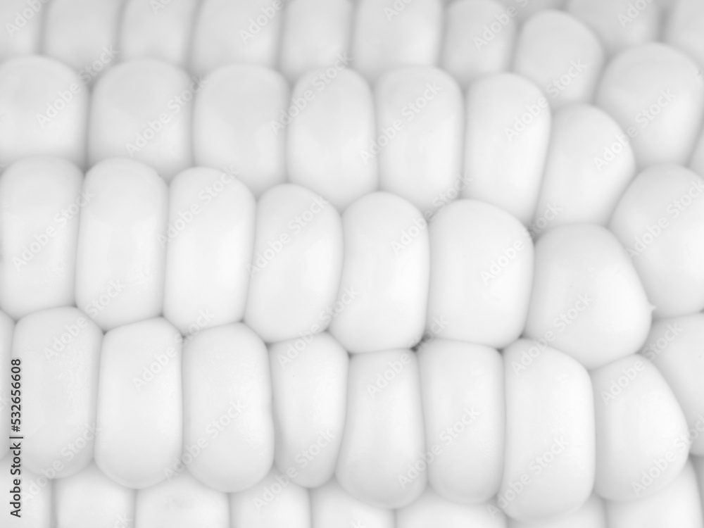 The texture of the grains is white. Closeup The texture of the grains is white. Closeup