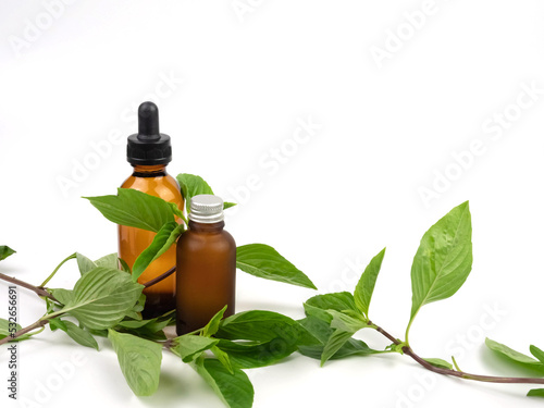 Basil essential oil in bottle and fresh green leaves isolated on white background.