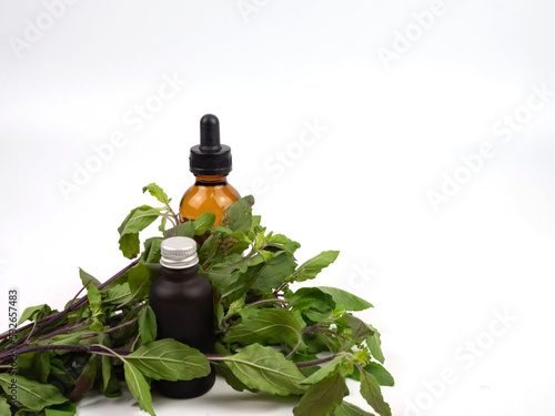 Basil essential oil in bottle and fresh green leaves isolated on white background.