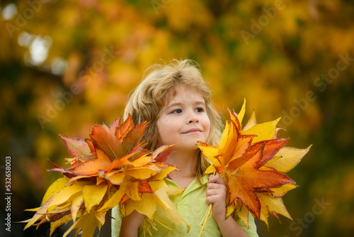 Autumn kids mood. Child with fall leaves over maple leaf background.