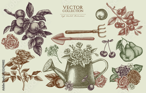 Gardening vintage illustrations collection. Hand drawn logo designs with watering can, apples, cherry, rose, pears, shovel, rake, chamomile, forget me not flower, ranunculus, roses.