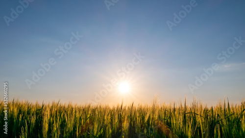 Tableau sur toile Amazing sunset over the field