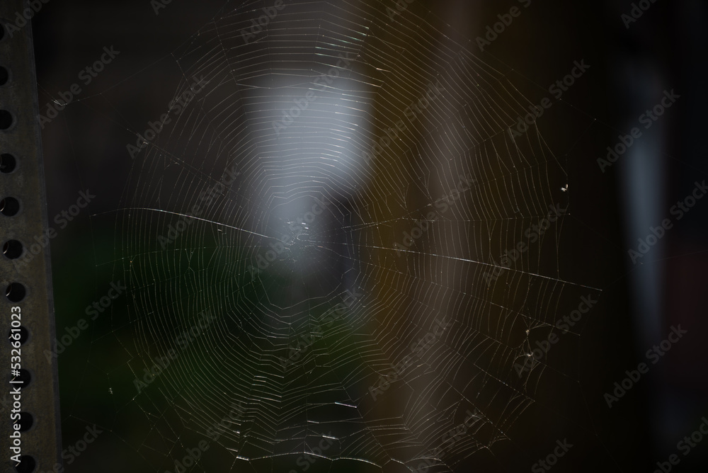 Naklejka premium Spider net at the dark background