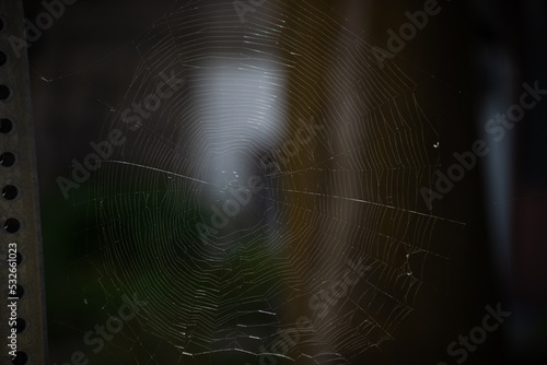 Spider net at the dark background