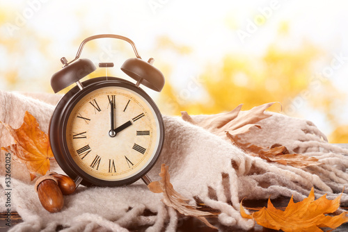 Alarm clock, acorns, scarf ...
