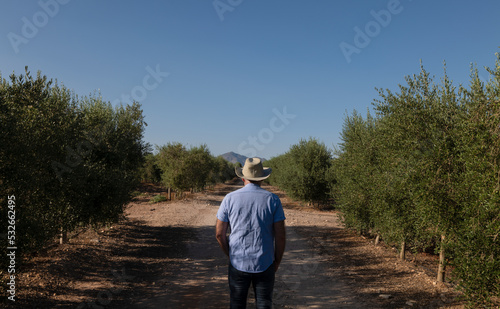 Adult man in cowboy hat in olive grove, Almeria, Spain