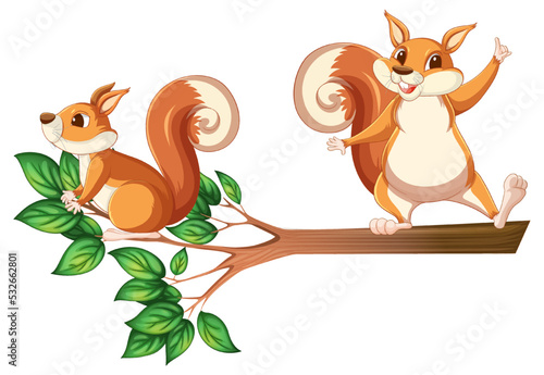 Squirrels on the tree branch